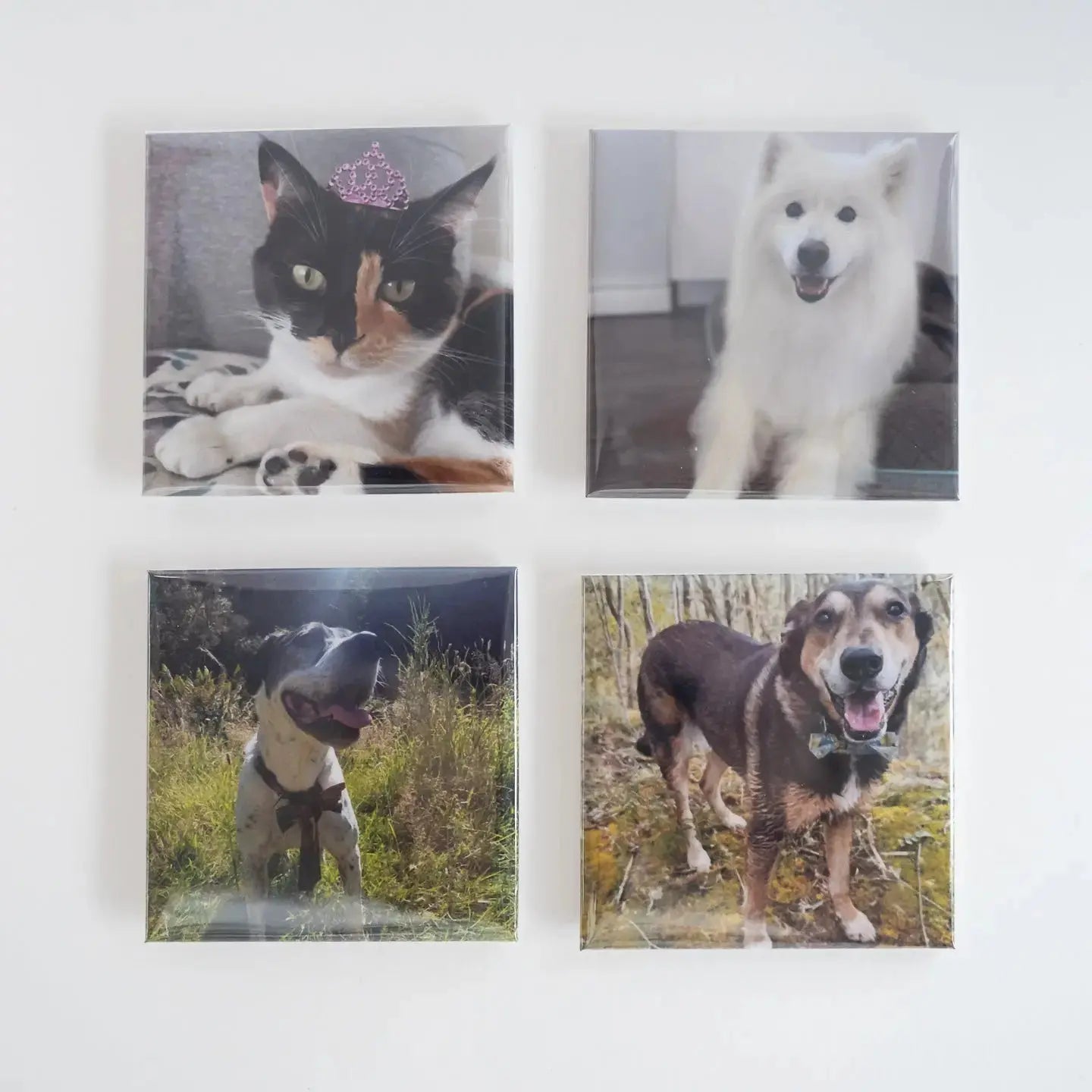Set of 4  Personalised Photo Magnets from Attractive Memories featuring photos of beloved family pets