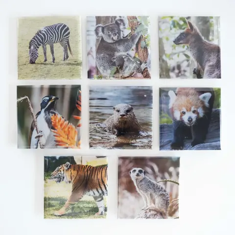 Set of 8